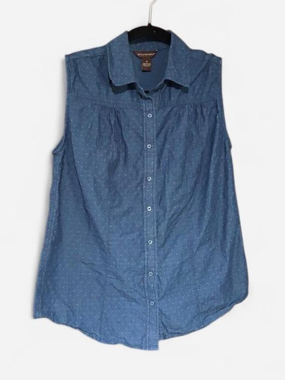 Bit & Bridle Sleeveless Button-Down Shirt in Denim Blue